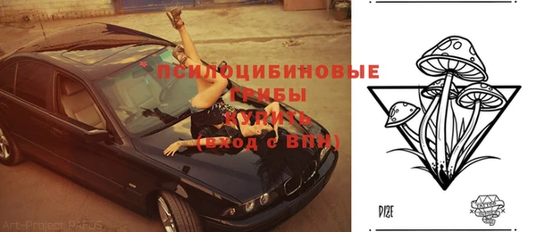 прущие крисы Бородино