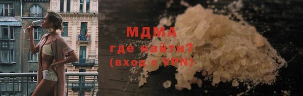 прущие грибы Болотное