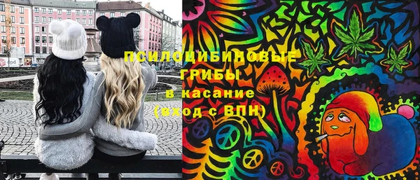 молекула духа Беслан